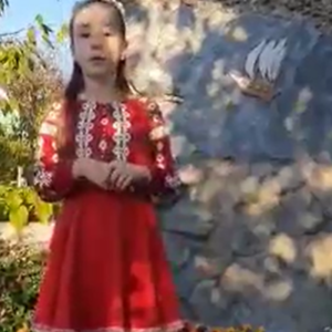 Mesaj adresat profesorilor