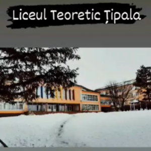 Amintirile din anii de școală