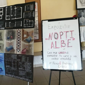Lucrări cu genericul „Nopți albe”