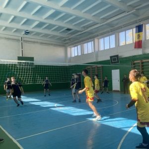 La data de 23 martie a avut loc competiția zonală de volei, etapa gimnazială, în Liceul Teoretic Țipala