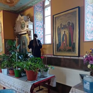 🍀Acțiuni de voluntariat în Săptămâna Națională a Bunătății🙏🙏🙏