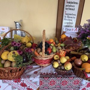 Expoziție de Toamnă!