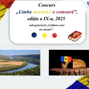 Concursul „Limba noastră-i o comoară”, ediția a IX-a sub genericul „Cultura care ne unește „