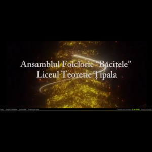 Ansamblul ”Băcițele” de la Liceul Teoretic Țipala